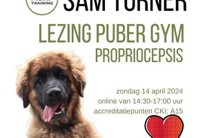 Sam Turner: Puber gym lezing