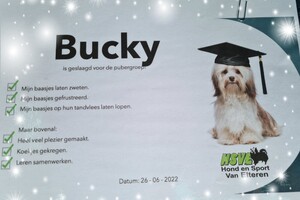 Bucky: hondenschool jaar 2022