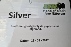 Silver: agility examen 