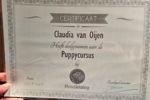 Silver: puppy curcus