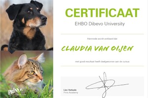 Basis Ehbo voor hond en kat - E-learning Edupet