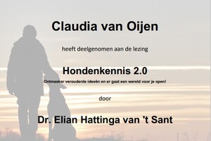 Curriculum vitae