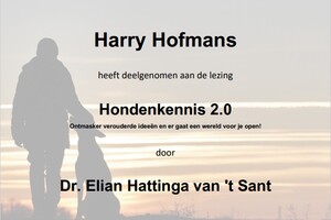 Curriculum vitae
