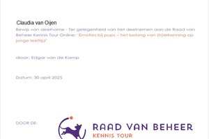 Curriculum vitae