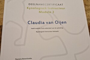 Curriculum vitae 2026  - 