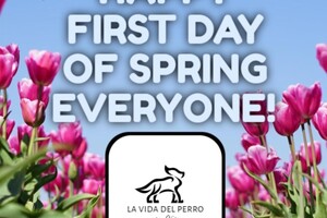 (20 maart) Eerste lente dag