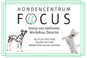 cursus detectie - 2023