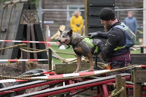 Dakota hondenschool jaar 2024