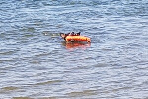 (23 augustus) Flynn aan het water