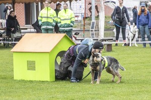 Dakota hondenschool jaar 2024