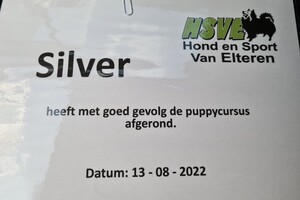 Silver: hondenschool jaar 2022